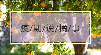 助力柑橘产业   格林凯尔华中农大精准研究院发起公益公开课