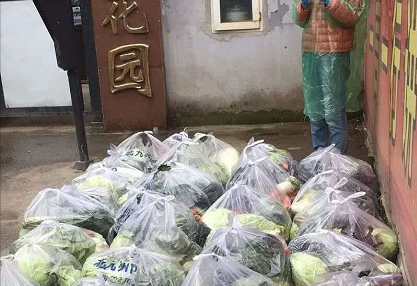 大件会(全民直采)入选武汉市商务局推荐线上买菜电商平台