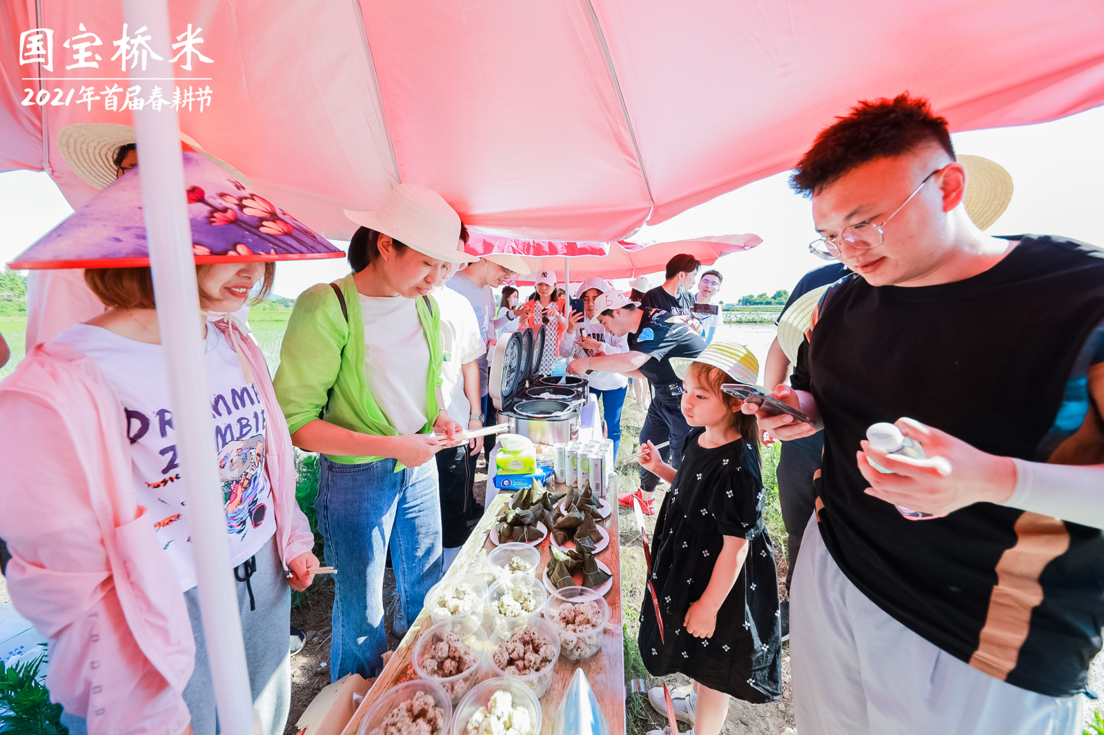 全省人民都爱吃的桥米品牌 成功举办插秧体验活动