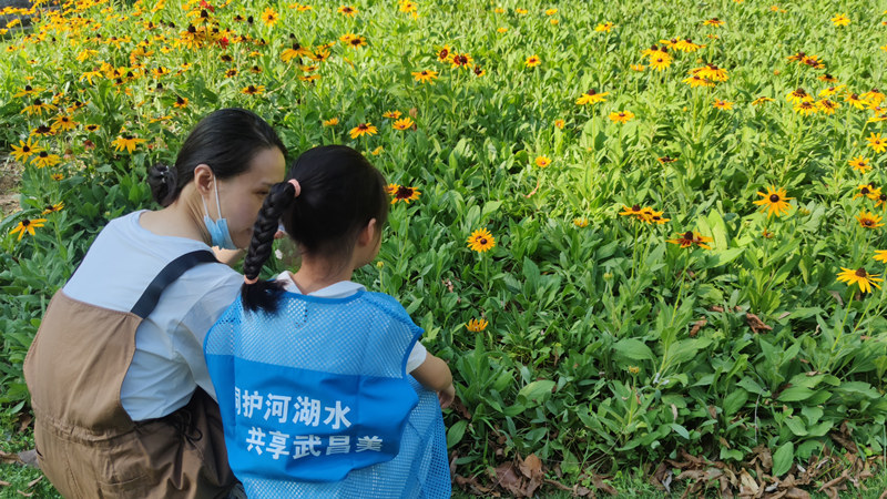 共享夏绿共建碧水 保护武汉市最大的城中湖公园