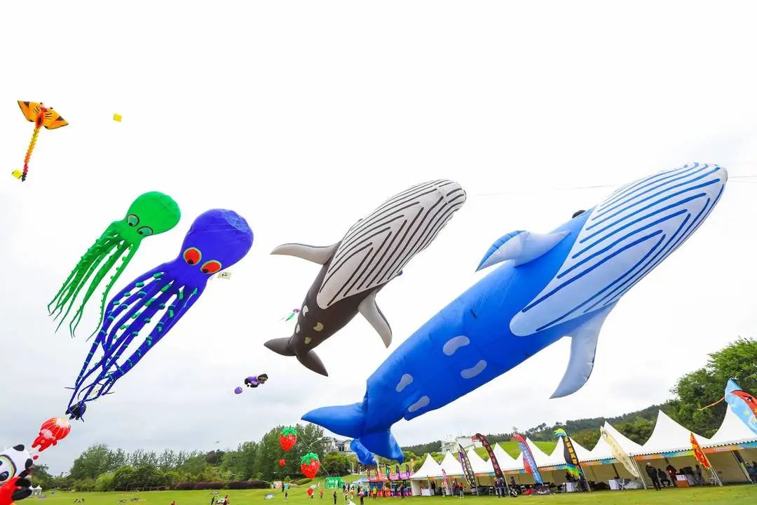 300名国内风筝选手 全国运动风筝锦标赛在黄陂开赛