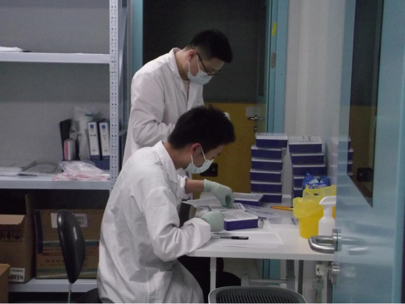 与岗位科学家同行！华中农业大学团队赴武汉影子基因科技有限公司进行调研实践