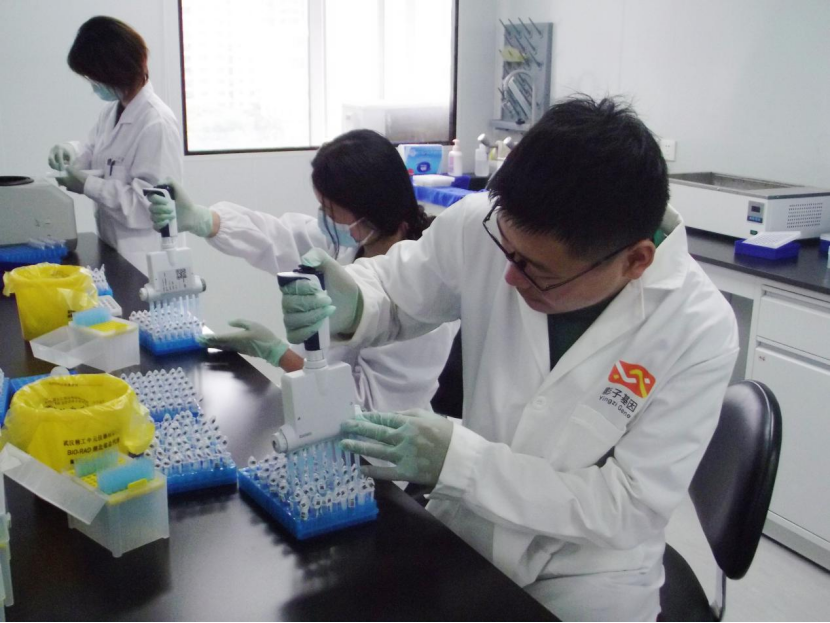 中农业大学实践团赴武汉影子基因科技有限公司学习交流